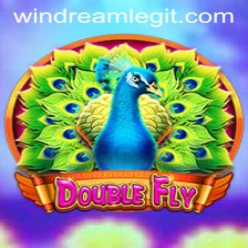 Exploring the Exciting World of DoubleFly and the Concept of WinDream